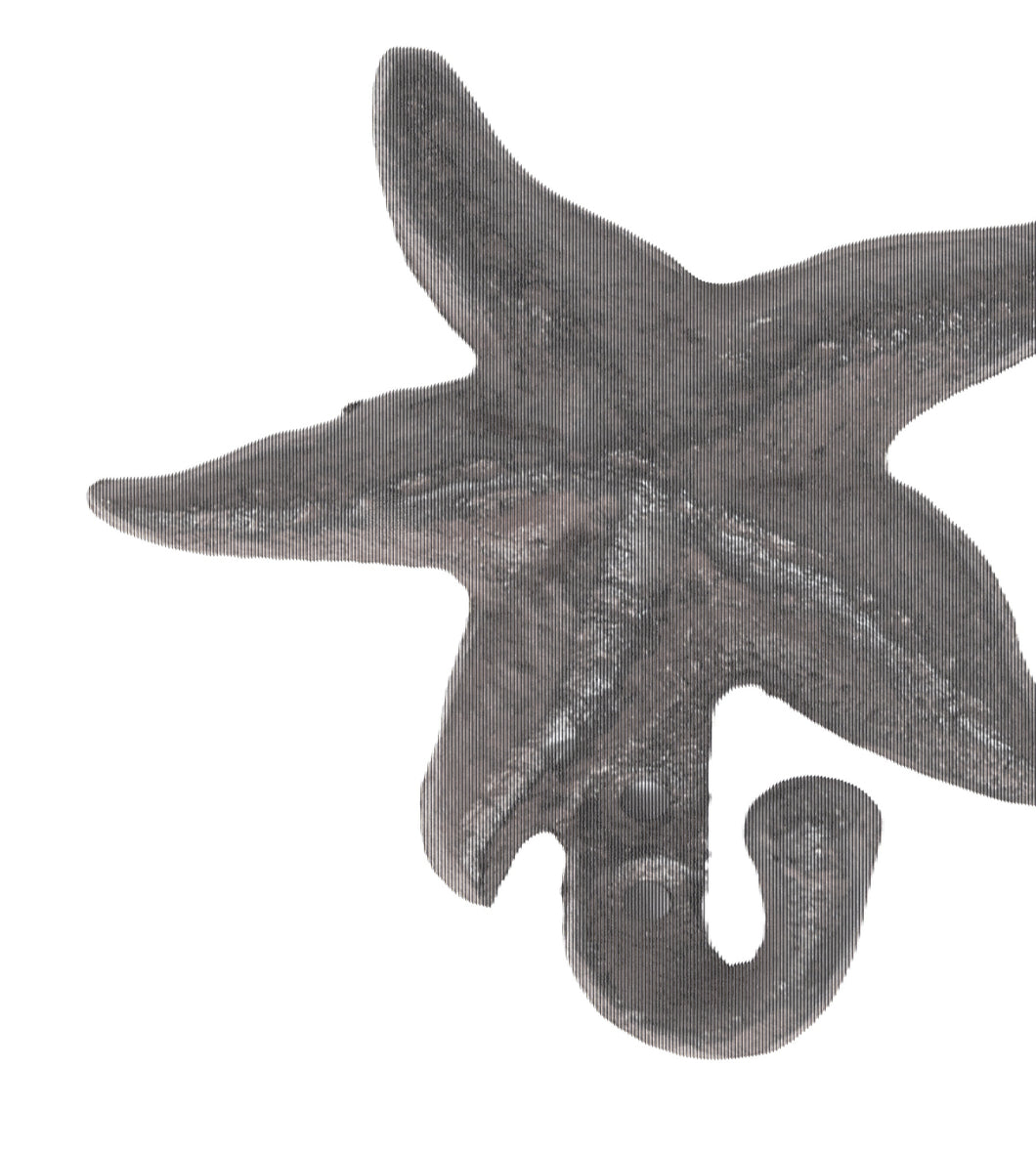 Starfish Hook
