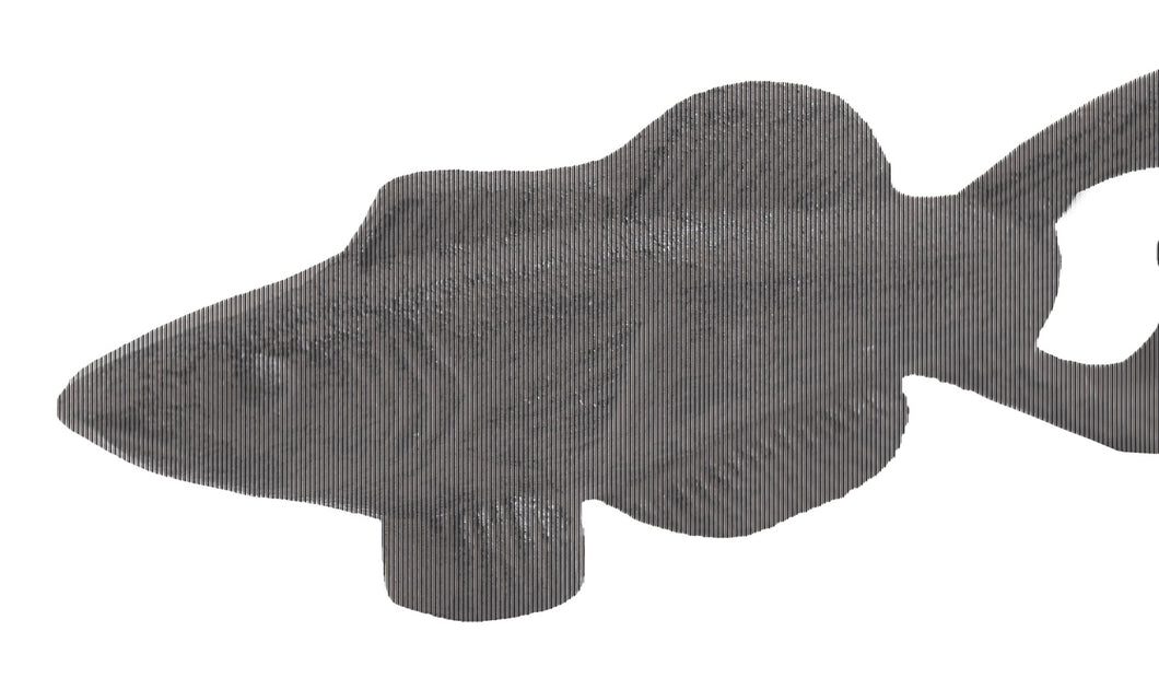 A-719 Fish Bottle Opener