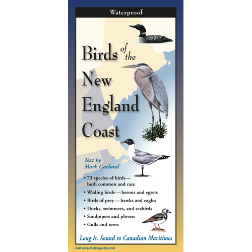 Birds of New England Coast Book