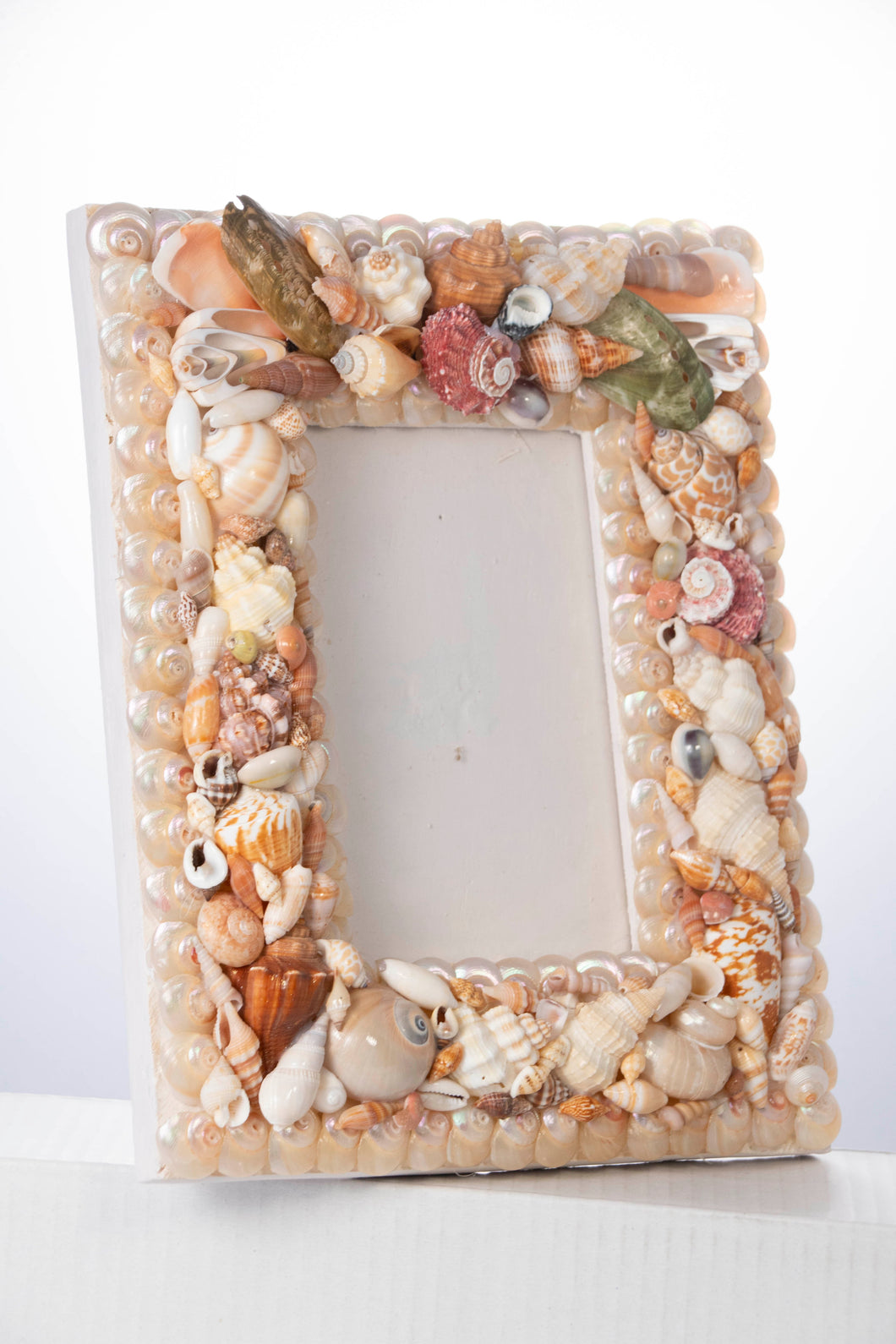 Shell Frame
