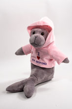 Load image into Gallery viewer, I Love New Bedford Seal - Stuffed Animal
