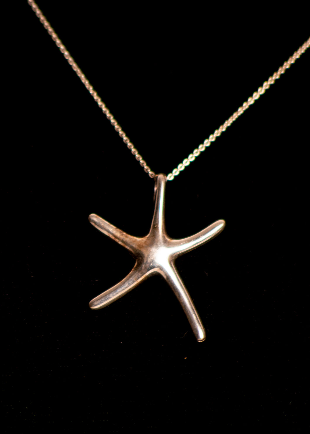 Sterling Silver Starfish Necklace