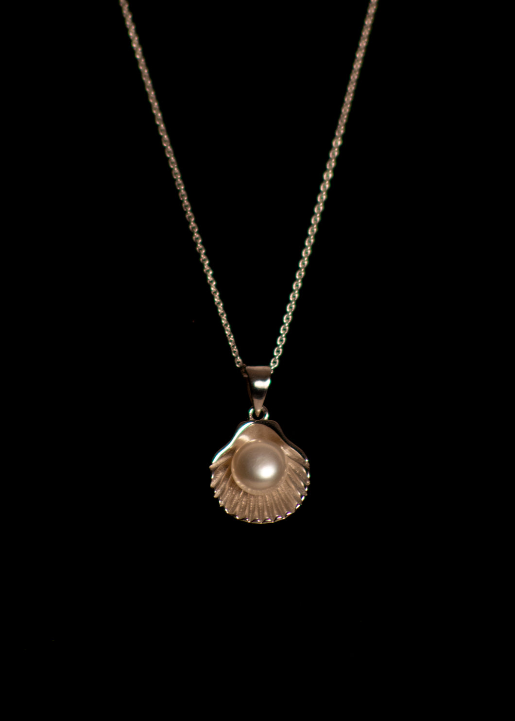 Shell with Pearl Necklace