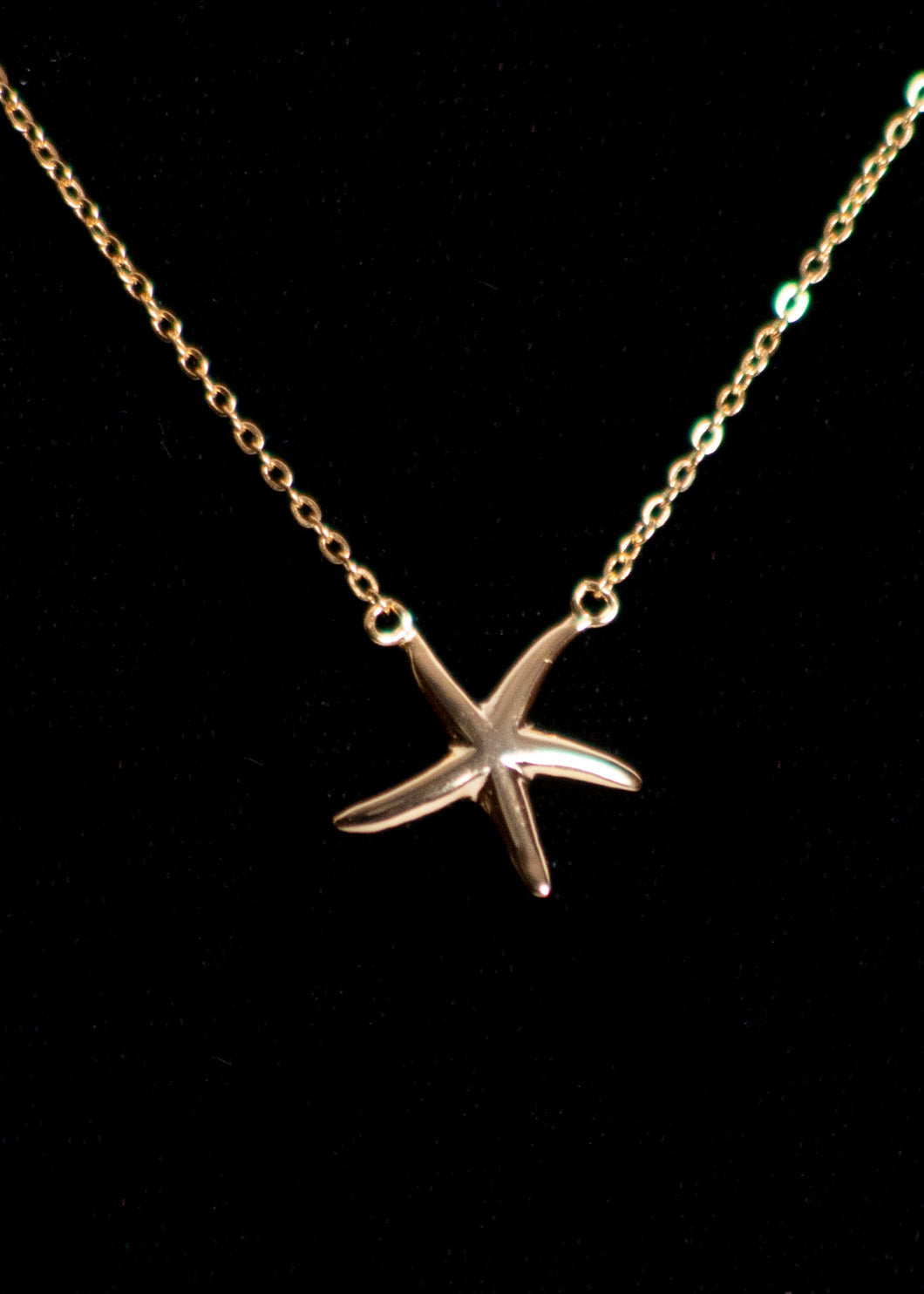 Gold Enamel Starfish Necklace