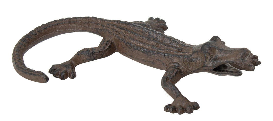 Alligator