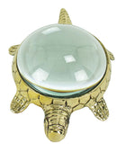 Turtle Magnifier