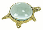 Turtle Magnifier