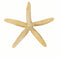 Set Of 3 Starfish