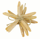Set Of 3 Starfish