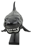 Shark Resin