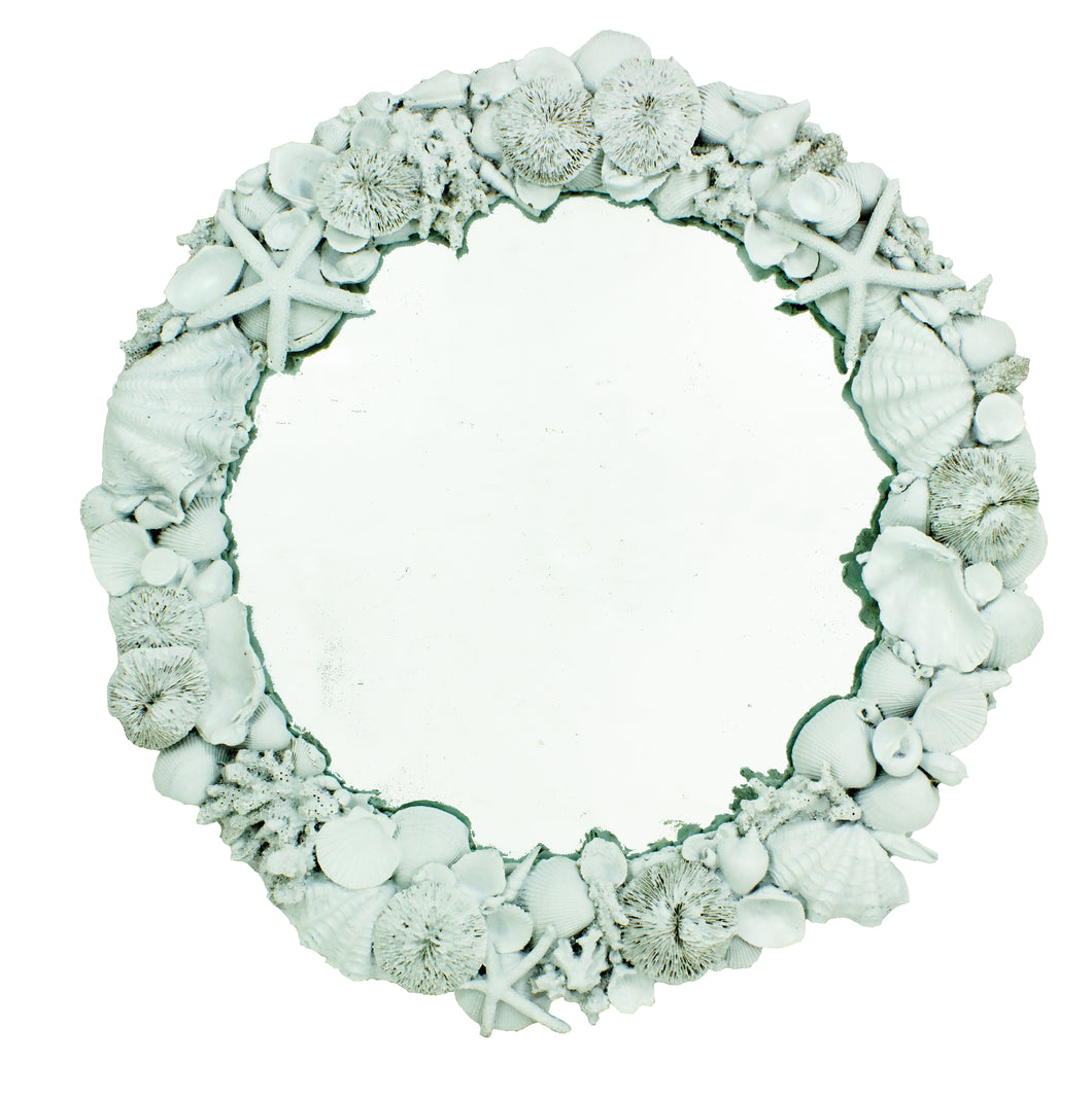Shell Mirror - Resin
