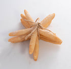 Set Of 3 Starfish