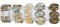Shell Bangle