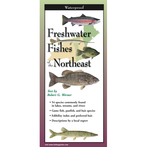Freshwater Fishes of the Northeast Book