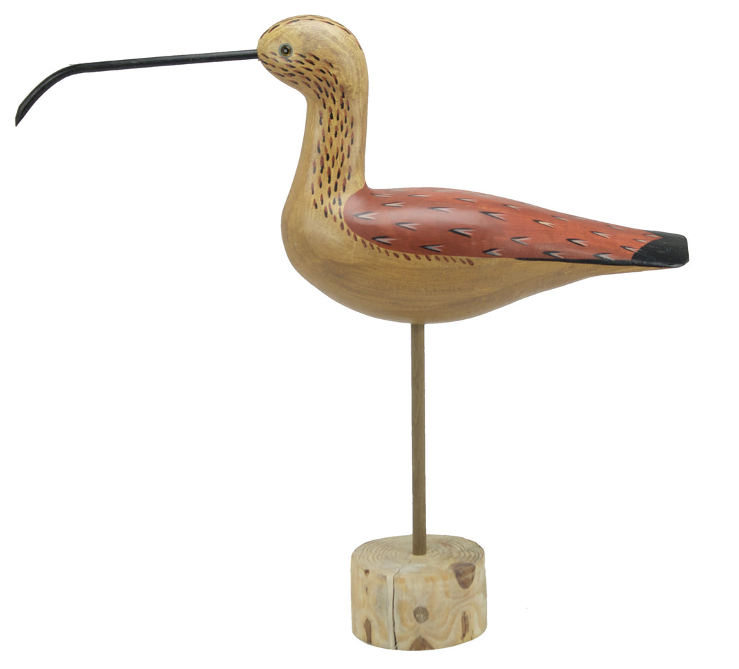 P598 Curlew Bird