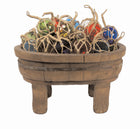 Roped Glass Buoy - Multi Colors