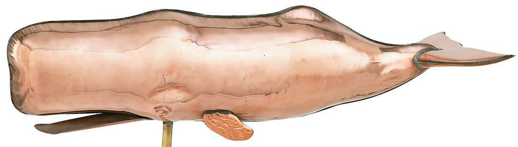 W-225P Pol. Sperm Whale WV