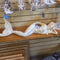 Laying Mermaid
