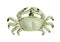 Crab Knob