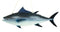 Tuna Fish